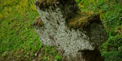 Wycieczka po Starych Powązkach „Szlakiem grobów wybitnych Polaków” Wycieczka po Starych Powązkach „Szlakiem grobów wybitnych Polaków”