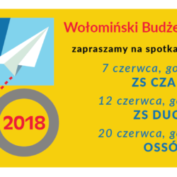 Zapraszamy na spotkania dotyczące Wołomińskiego Budżetu Obywatelskiego!