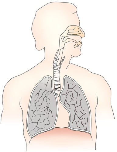 Zapraszamy na bezpłatne badanie płuc w ramach programu "Wczesnego wykrywania raka płuca"