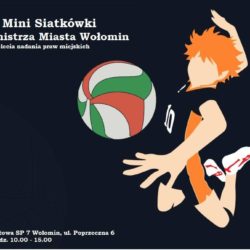 Turniej mini siatkówki o Puchar Burmistrza Wołomina