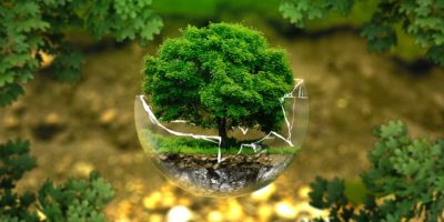 Konkurs Chroń naturę – nic wielkiego zrób dla Ziemi coś dobrego Konkurs Chroń naturę – nic wielkiego zrób dla Ziemi coś dobrego