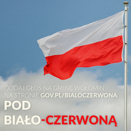Wygrajmy maszt z biało-czerwoną flagą dla gminy Wołomin!