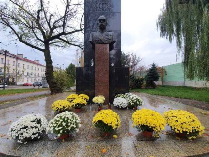 Żółte i białe chryzantemy przy pomniku Piłsudskiego w Wołominie