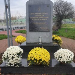 białe i żółte chryzantemy przy pomniku