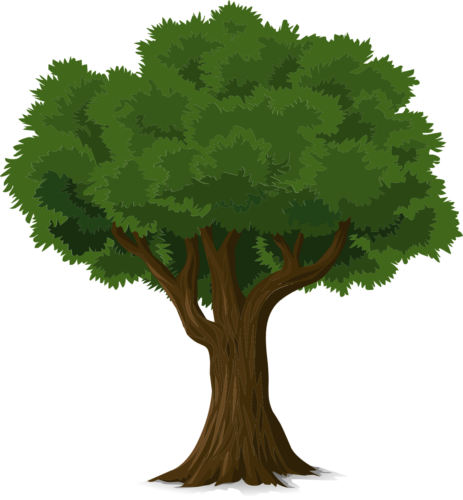 Ikona Drzewo