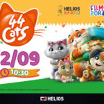 film koty