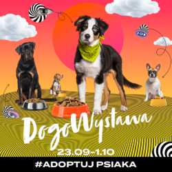 DogoWystawa - Galeria Wołomin pomaga psom do adopcji