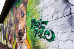 Lokalni artyści stworzyli mural na psim polu