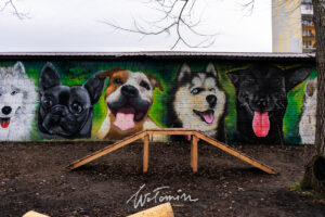 Lokalni artyści stworzyli mural na psim polu
