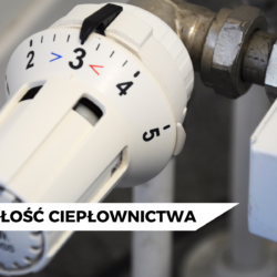 Przyszłość ogrzewania: ciepło w cenie
