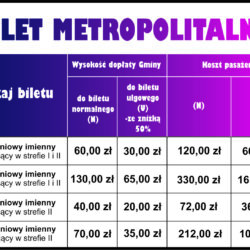Bilet metropolitalny