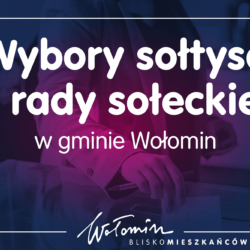 Wybory na sołtysa