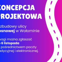 Koncepcja projektowa budowy ul. Sosnowej w Wołominie - podziel się opinią!