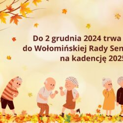 Nabór do Wołomińskiej Rady Seniorów