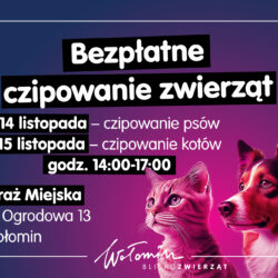 Czipowanie