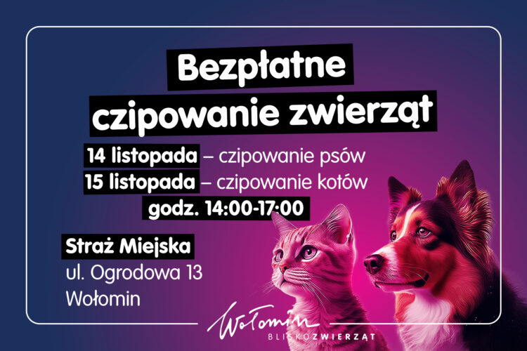 Czipowanie