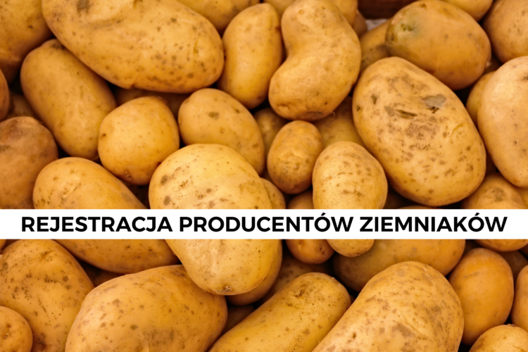 Rejestracja producentów ziemniaków