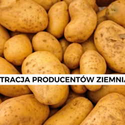 Rejestracja producentów ziemniaków