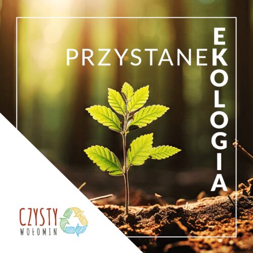 Grafika z napisem: Przystanek Ekologia