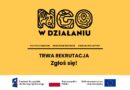Nabór do projektu „NGO w działaniu”