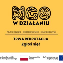 Nabór do projektu „NGO w działaniu”
