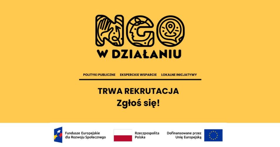 Nabór do projektu „NGO w działaniu”