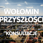 widok Wołomina z lotu ptaka