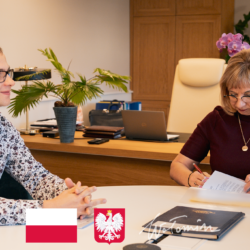 Nowy monitoring na Skwerze im. Józefa Piłsudskiego