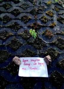I miejsce - Amelia Pergół