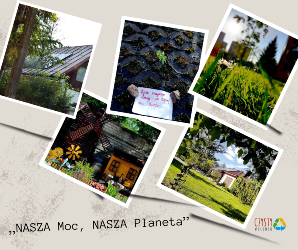 Wyniki konkursu Nasza moc, nasza planeta