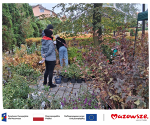 Dzień Drzewa z Ekodoradcą – ekologia w praktyce