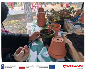 Dzień Drzewa z Ekodoradcą – ekologia w praktyce