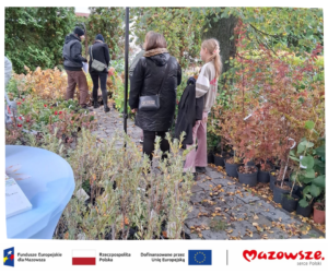 Dzień Drzewa z Ekodoradcą – ekologia w praktyce