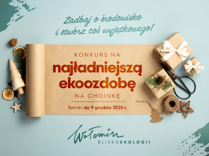 Stwórz ekoozdobę i weź udział w świątecznym konkursie!