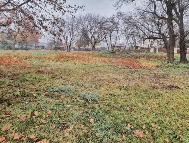 Informacja na temat terenu po dawnym cmentarzu żydowskim w Wołominie