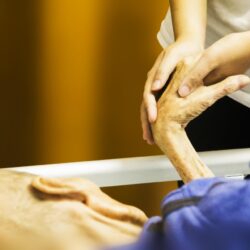 „Zapewnienie profesjonalnej opieki paliatywnej osobom chorym zamieszkałym na terenie gminy Wołomin, będącym w terminalnym okresie choroby”