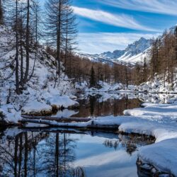 „Harcerska Akcja Zimowa 2026- Zimowisko w Podlesicach”