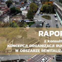 Raport z konsultacji koncepcji organizacji ruchu dla obszaru rewitalizacji w Wołominie