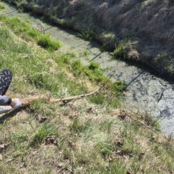 Sprzątanie Lipinek z Młodzieżową Radą Miasta!