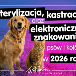 Sterylizacja, kastracja oraz elektroniczne znakowanie psów i kotów w 2026 roku