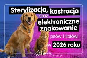 Sterylizacja, kastracja oraz elektroniczne znakowanie ps&oacute;w i kot&oacute;w w 2026 roku
