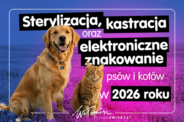 Sterylizacja, kastracja oraz elektroniczne znakowanie ps&oacute;w i kot&oacute;w w 2026 roku