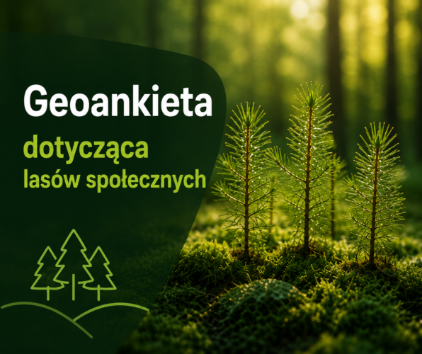 Lasy społeczne wok&oacute;ł Warszawy &ndash; weź udział w geoankiecie
