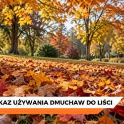 Obrazek przedstawiający jesienne liście z napisem zakaz używania dmuchaw do liści